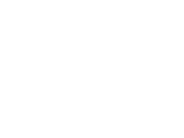 The logo of my employer Freelance - Perisher Ski Resort