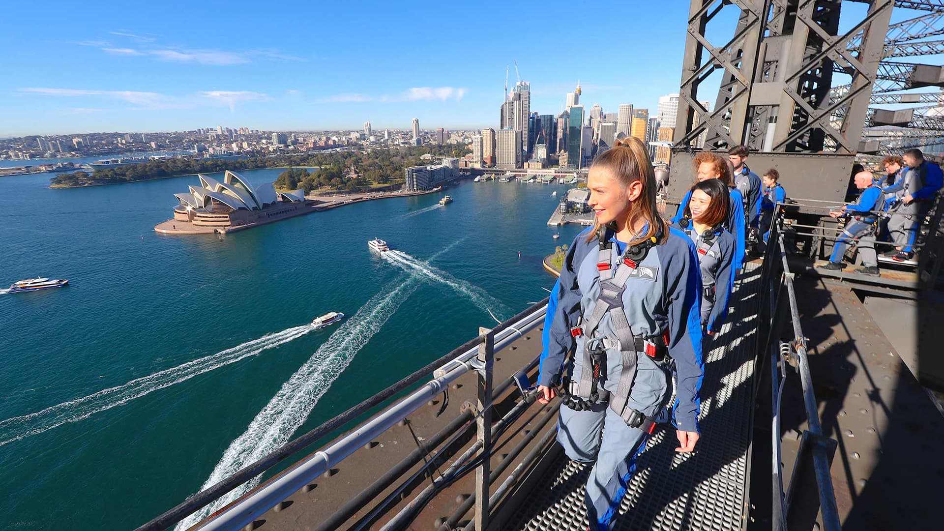 an image showing a bridge climber